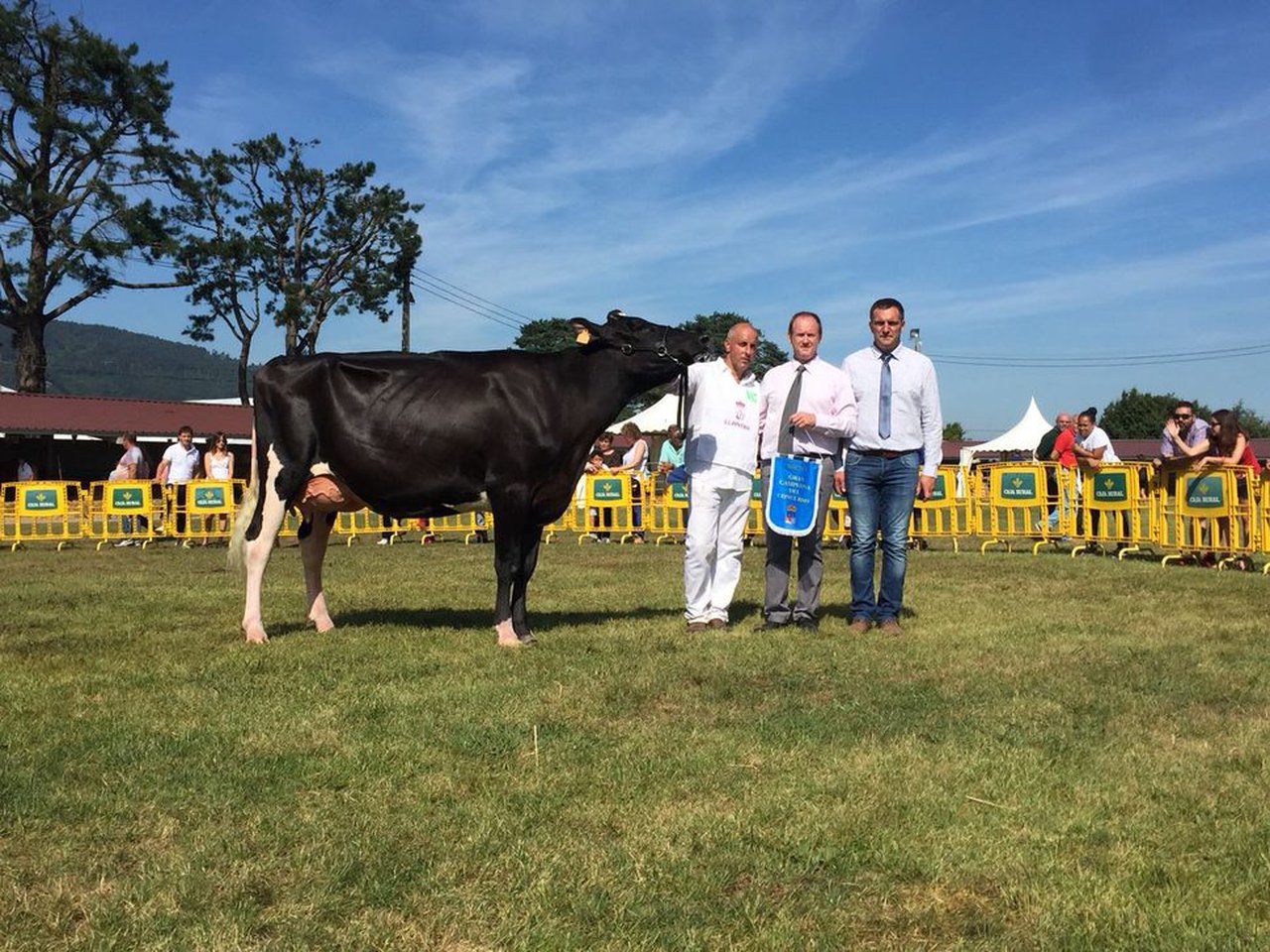 Coto Seaver Vanity Fair gana el concurso frisón de Llanera