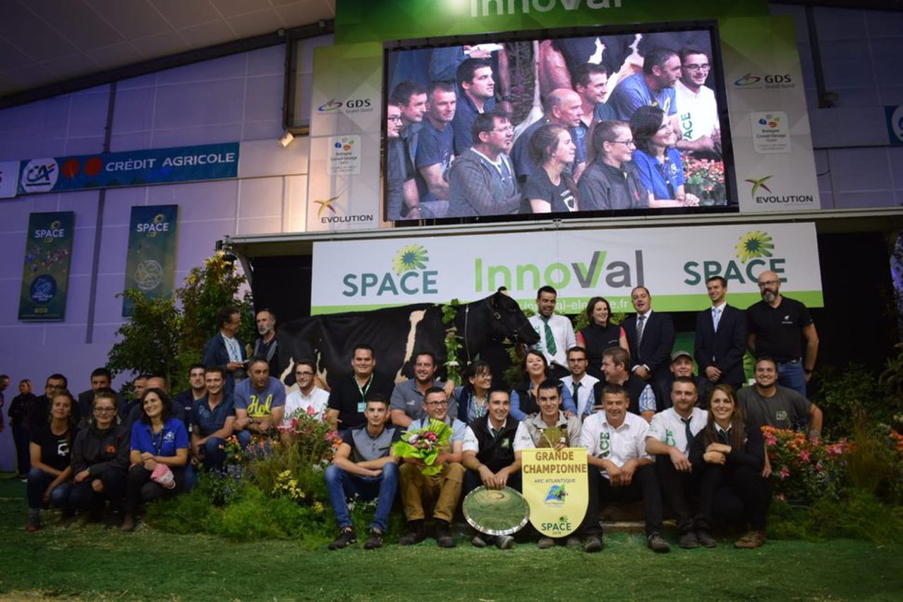 ¡Elegida la vaca gran campeona del Prim’Holstein Atlantique 2018!