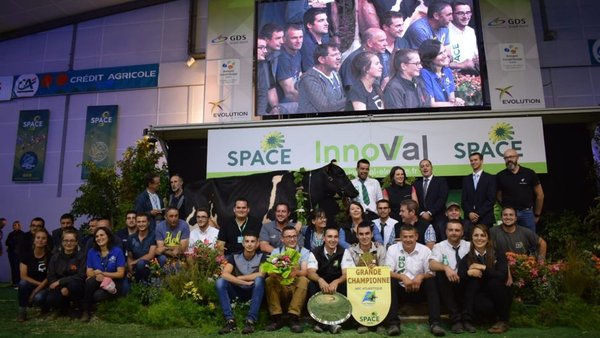 ¡Elegida la vaca gran campeona del Prim’Holstein Atlantique 2018!