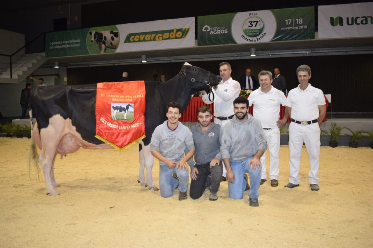 Encanto Sid 362, vaca gran campeona de Portugal
