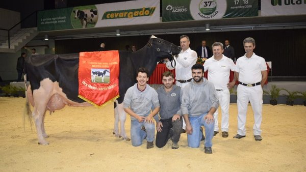 Encanto Sid 362, vaca gran campeona de Portugal