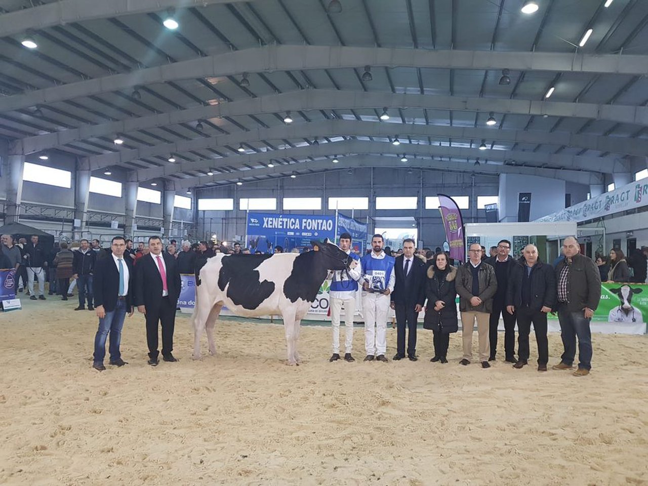 Podio para Rey 760 Zyna  High Octane como novilla gran campeona de Galicia 2018