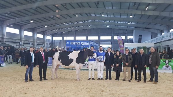 Podio para Rey 760 Zyna  High Octane como novilla gran campeona de Galicia 2018