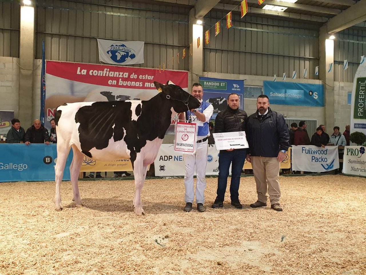 Rey 833 Beemer Zynal se proclama novilla gran campeona de la Moexmu