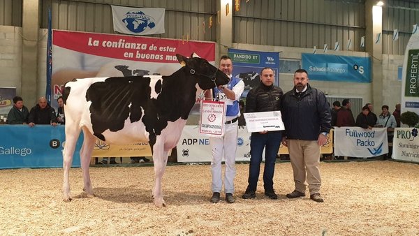 Rey 833 Beemer Zynal se proclama novilla gran campeona de la Moexmu