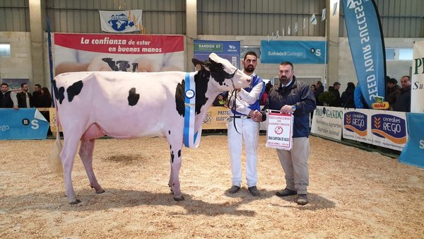 Rey 747 July High Octane, gran campeona también en la Moexmu