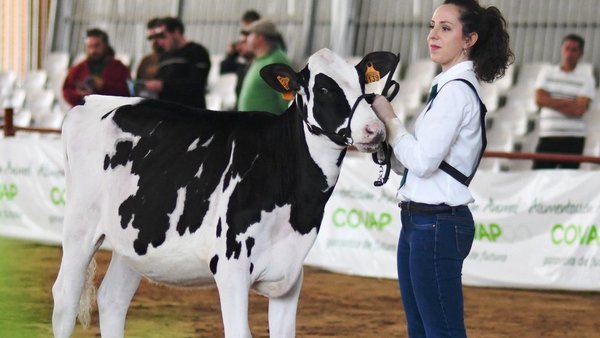 Estos fueron los otros premiados del concurso de Pozoblanco