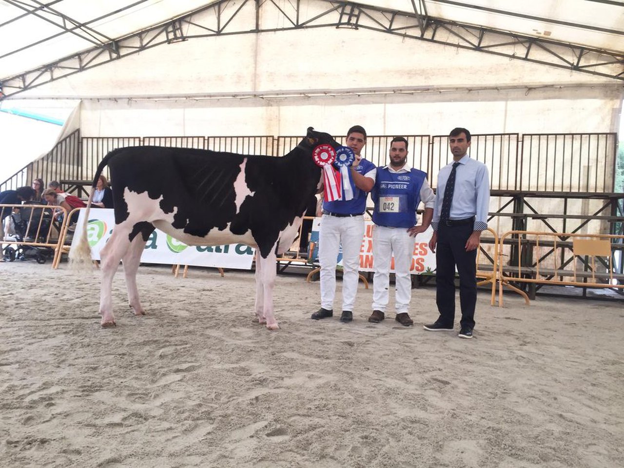 La novilla gran campeona es Carballeiras Jacoby Whitney ET