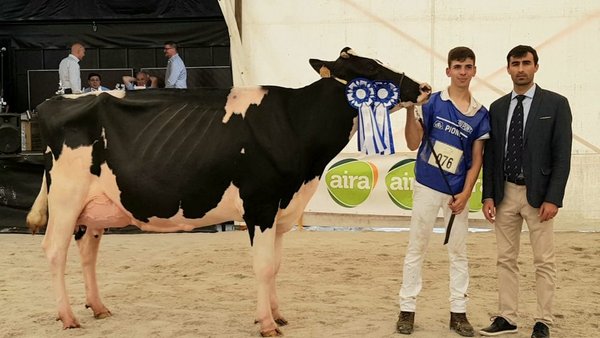 Midon Edurne Maximus vence en Lalín