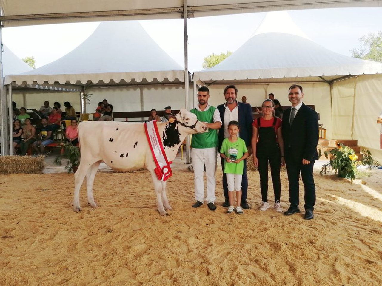 Marrinhas Elude 6388, novilla gran campeona en Murtosa