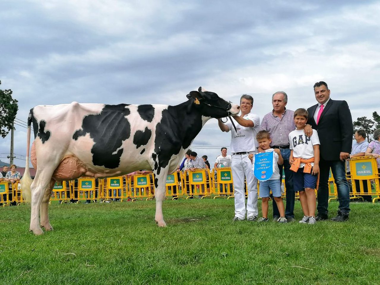 Victoria para Badiola Atwood Megamirta en Llanera