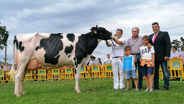 Victoria para Badiola Atwood Megamirta en Llanera