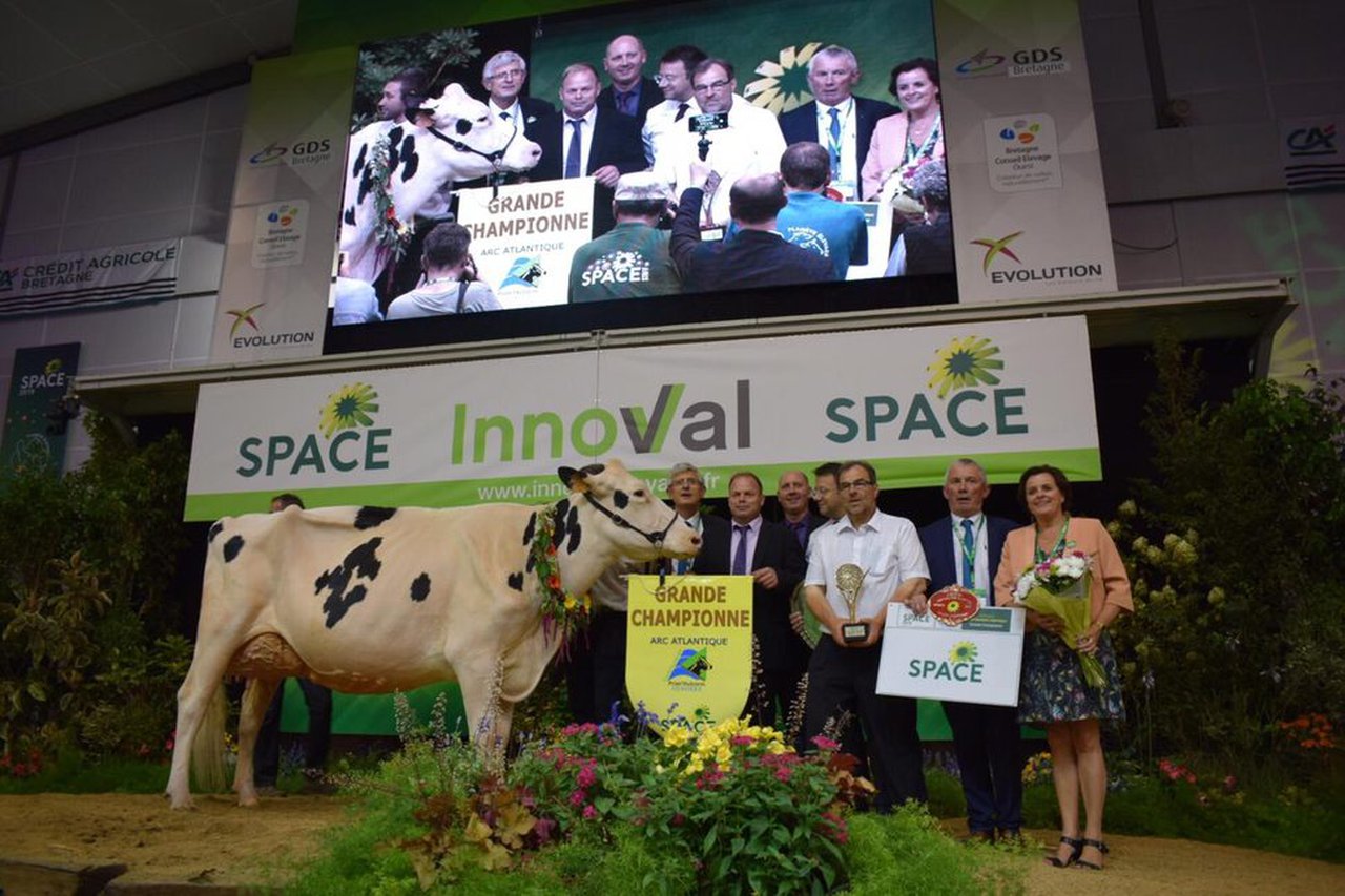 Izella du Mezou, vaca gran campeona del Prim’Holstein Atlantique 2019