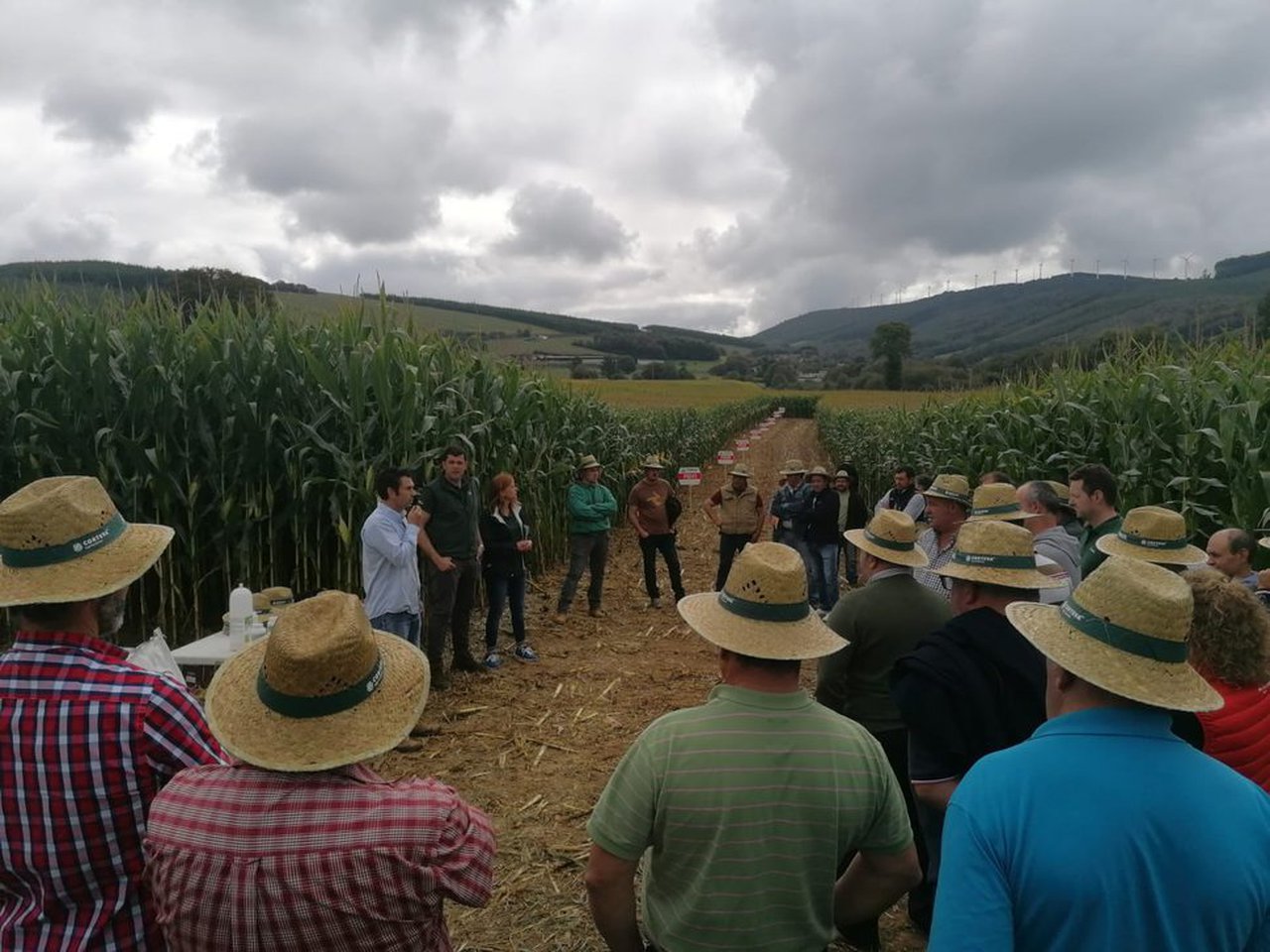 Pioneer presentou as súas variedades en Lugo