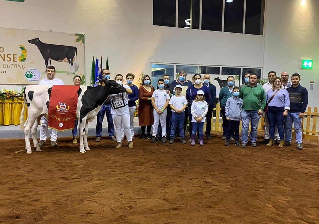 Melos Rey Telma se proclama novilla gran campeona