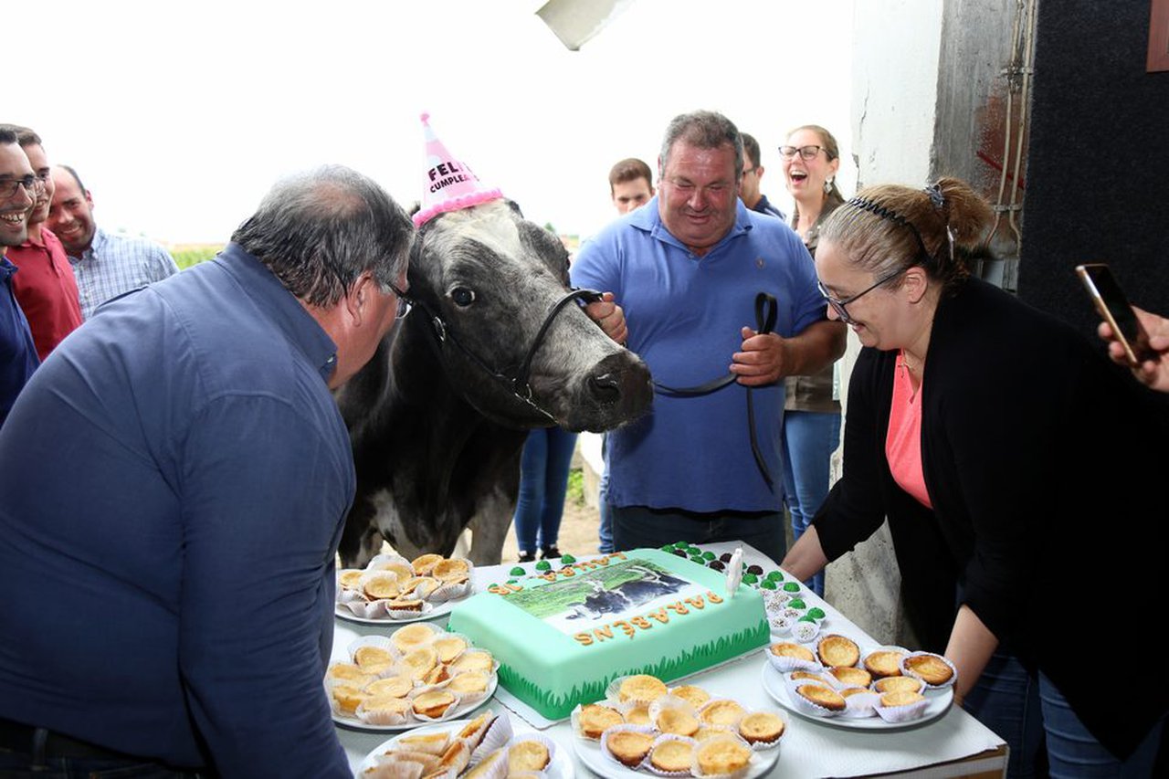 Gran fiesta en honor de Irmãos Rita Juror Laura para celebrar su mayoría de edad