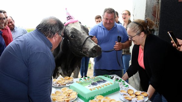Gran fiesta en honor de Irmãos Rita Juror Laura para celebrar su mayoría de edad