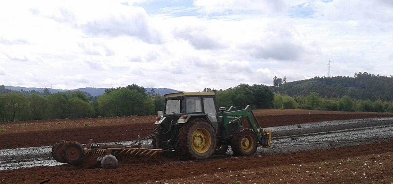 Mejora de la eficiencia de la fertilización nitrogenada en los cultivos forrajeros