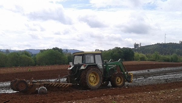 Mejora de la eficiencia de la fertilización nitrogenada en los cultivos forrajeros