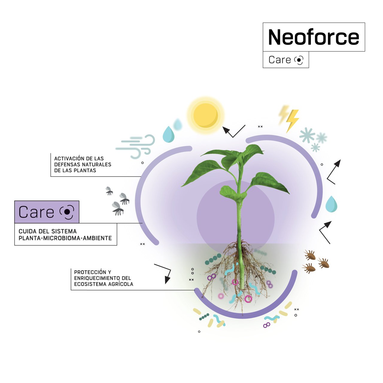 Fertiberia TECH presenta Neoforce Care, a súa nova gama de productos tecnolóxicos