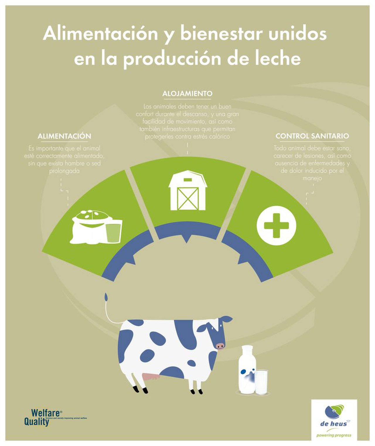 Alimentación e benestar animal unidos na produción de leite