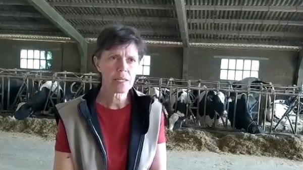 Inlac agradece el trabajo del sector lácteo durante esta crisis de la Covid-19