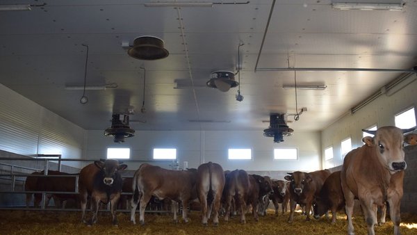 Exafan presenta un sistema de control ambiental para a cría de xatos