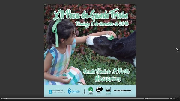 Ya disponible el catálogo completo de la Subasta de Mazaricos