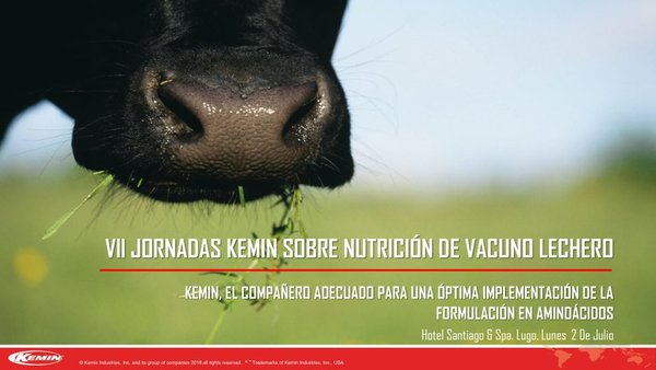 Kemin celebra su VII Jornada sobre Nutrición de Vacuno Lechero el próximo 2 de julio