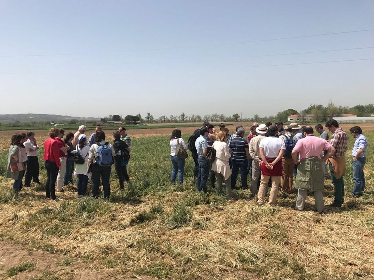 ICL Specialty Fertilizers participa na reunión da Ruena