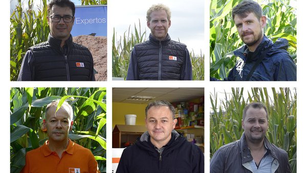 KWS, expertos en millos para silo