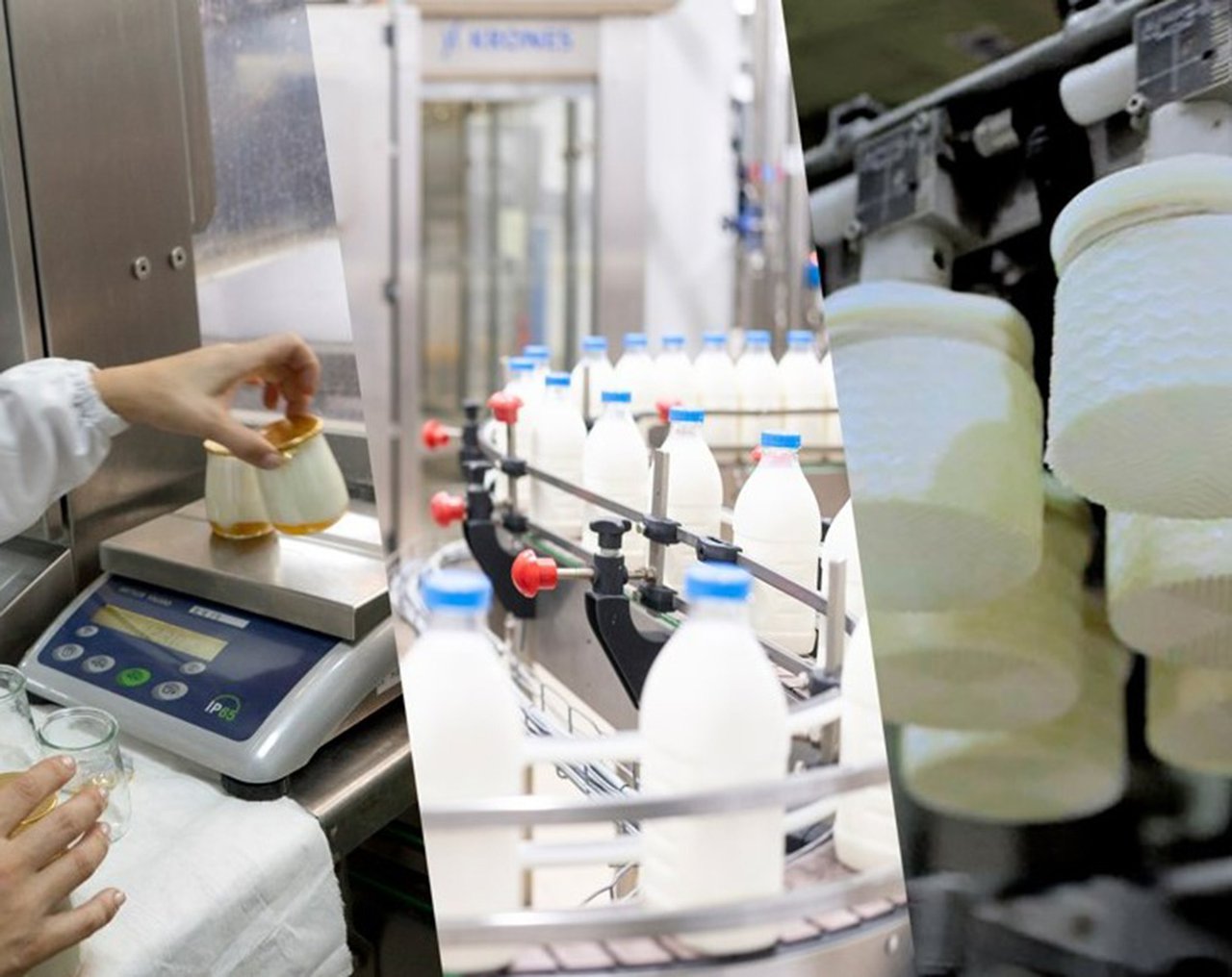 Grupo Lactalis celebra 40 años en España apostando por la calidad, la innovación y la inversión