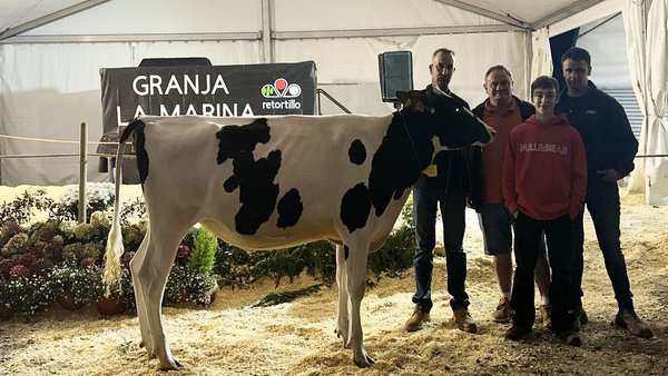 Marina Fitters Choice Amanda vendida por 4.350 euros