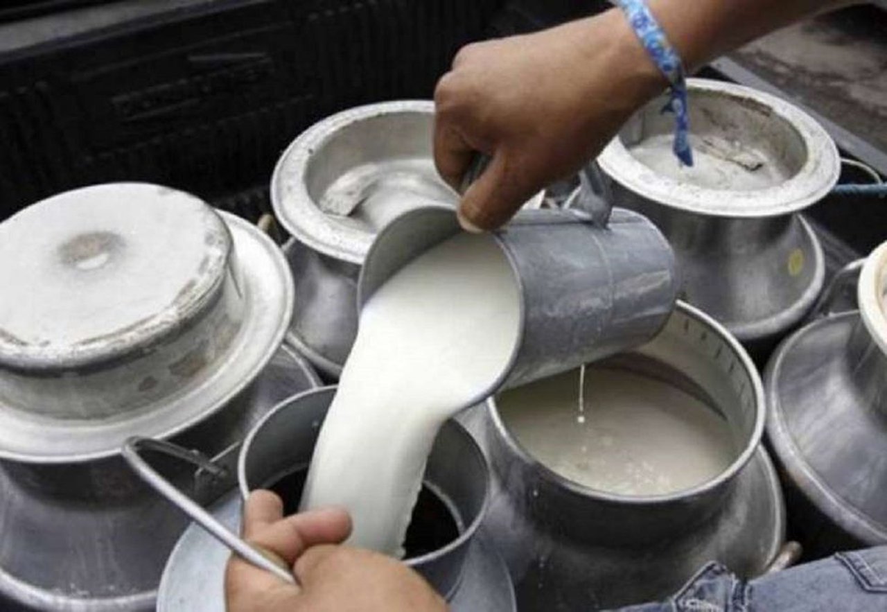 La EPS de Ingeniería es el centro examinador del Ligal para la obtención de la certificación para manipular leche cruda