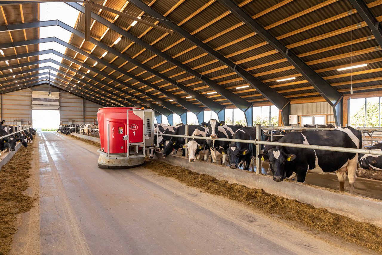 El robot de alimentación Lely Vector es el más rentable por litro de leche producida