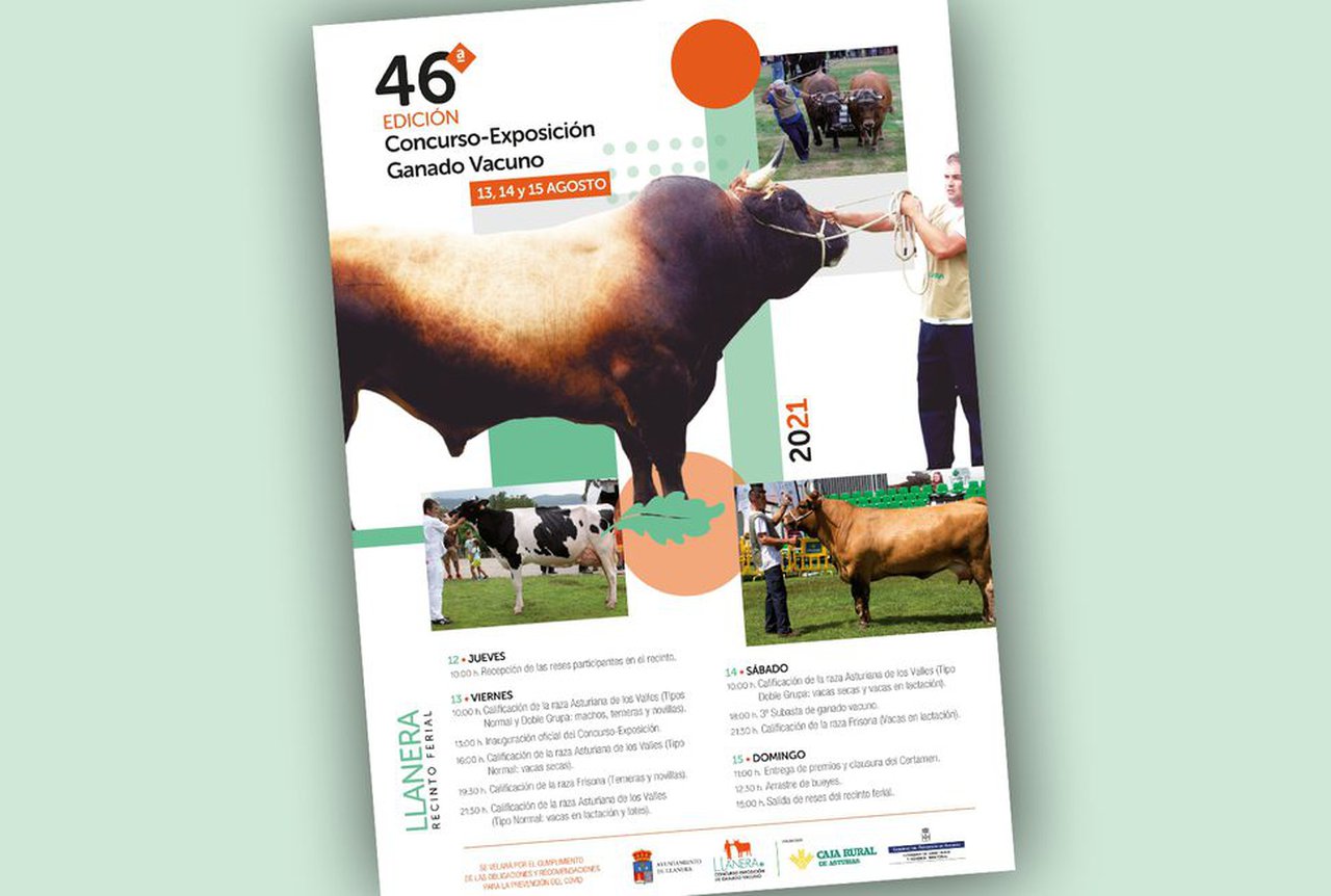 Todo listo en Llanera para su concurso de ganado vacuno