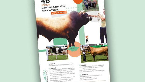 Todo listo en Llanera para su concurso de ganado vacuno