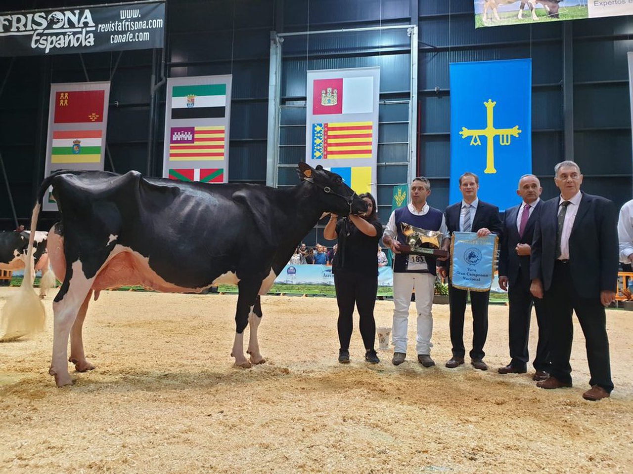 Emocionante victoria para Llinde Ariel Jordan, vaca gran campeona nacional