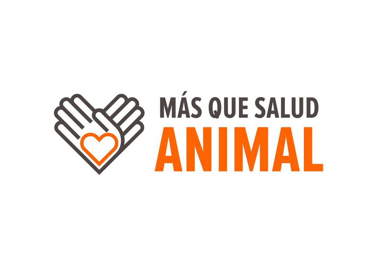 #MásQueSaludAnimal, el proyecto de social media de Zoetis España