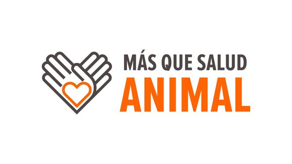 #MásQueSaludAnimal, o proxecto de social media de Zoetis España