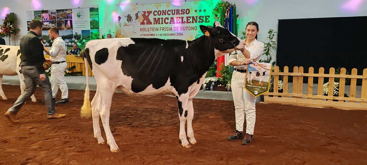 Ema Couto y Mariana Simões, mejores manejadoras en el concurso frisón de otoño en Azores