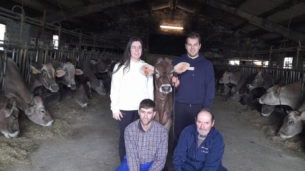 La ganadería María Amor adquiere una ternera por 6.000 euros en Cremona