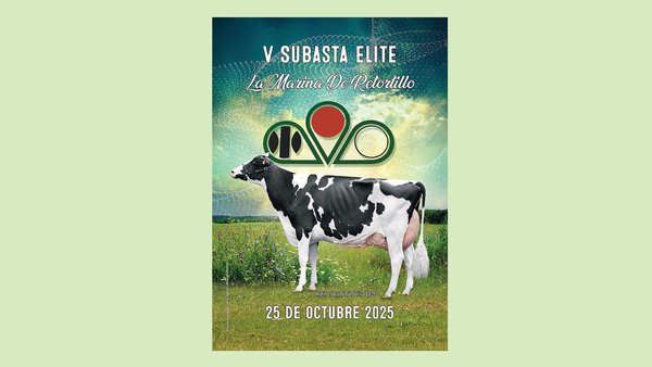 La V Subasta de Élite de La Marina de Retortillo se celebrará el sábado 25 de octubre