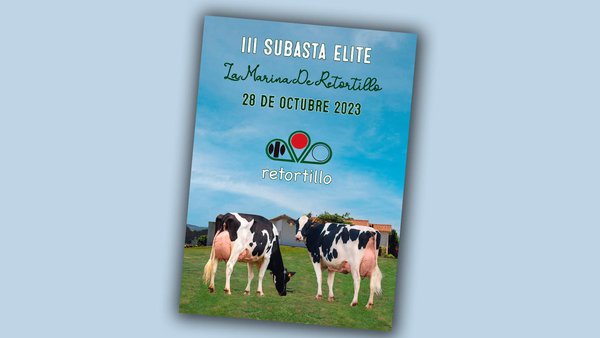 Este sábado llega la III Subasta de Élite de La Marina de Retortillo