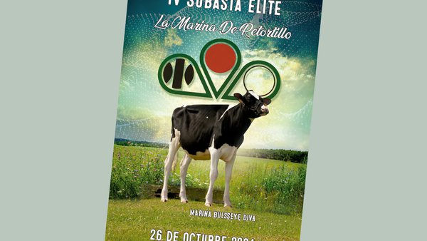 La Marina de Retortillo llevará a cabo su IV Subasta de Élite el próximo 26 de octubre