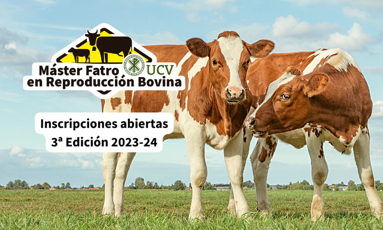 Abierto el plazo de inscripción para el Máster Fatro-UCV Reproducción Bovina
