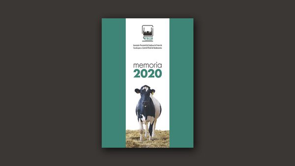 La Memoria de Africor Coruña 2020, disponible on-line