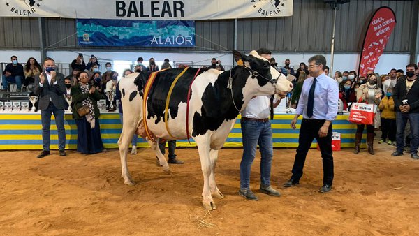 Foto: Asociación Frisona Balear