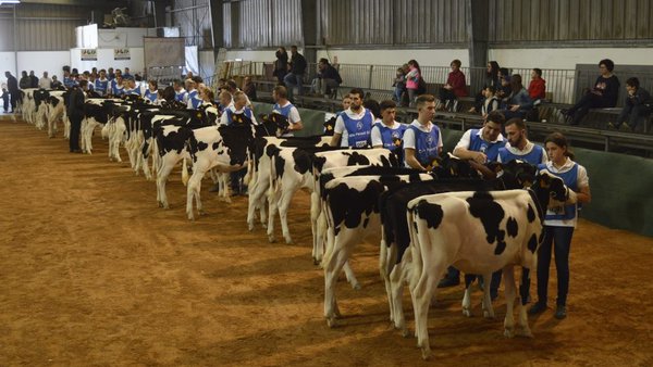 Comenzamos la retransmisión del show frisón de Menorca