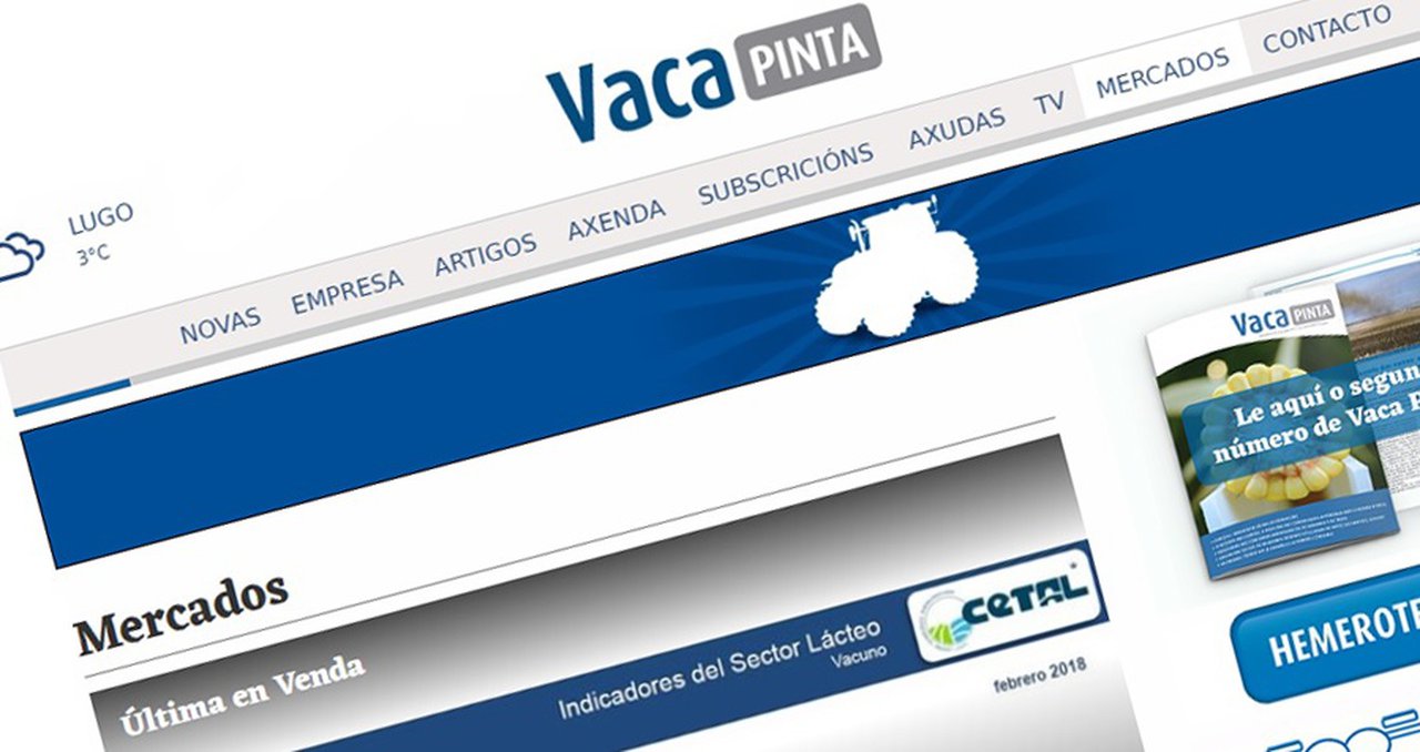 ‘Mercados’, la nueva sección de vacapinta.com